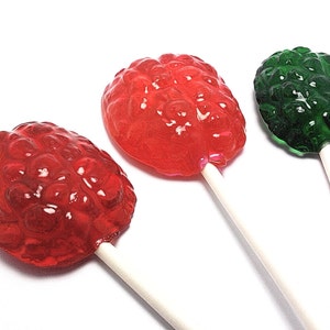 12 TRANSPARENT BRAIN LOLLIPOPS Hard Candy Lollipops, Mad Scientist Party, Halloween Party Favors image 3