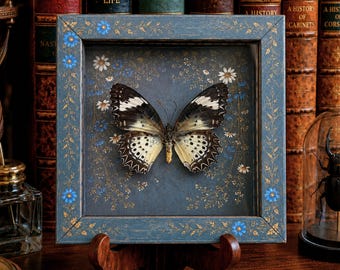 Butterfly Taxidermy, Leopard Lacewing Specimen, Real Cream & Brown Butterfly in Shadow Box, Insect Framed Decor, Witchy Wall Art Gift