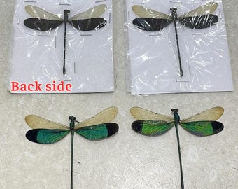 2 Pcs Real Green Damselfly - Unmounted Insect Specimens - Taxidermy Art Supplies - Dark Academia Decor - Nature Gift - Collector Piece