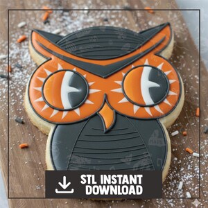May include: A large owl-shaped cookie with orange, gray, and white icing. The owl has detailed features, including textured feathers and large eyes. The cookie is decorated with sprinkles and the text "STL INSTANT DOWNLOAD".