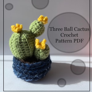 Cactus Crochet Pattern PDF