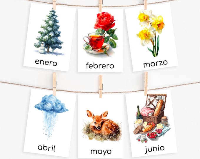 Months of the Year KANNADA Flash Cards, 12 Bilingual Cards, Montessori ...
