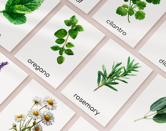 Herbs Montessori Flashcards, Homeschool Activity, pdf download