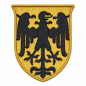 May include: A shield-shaped embroidered patch featuring a black eagle centered on a golden yellow background. The eagle is depicted with wings spread, talons extended, and a detailed beak, all rendered in black thread against the textured gold fabric.