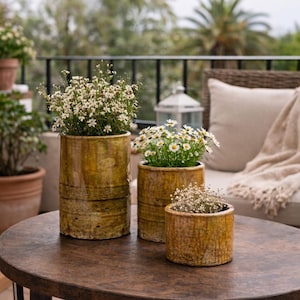 May include: Three cylindrical, glazed ceramic planters in varying sizes, each filled with flowering plants. The planters have a textured, mottled yellow-brown finish and sit on a dark wooden table. The plants feature small white flowers and green foliage.