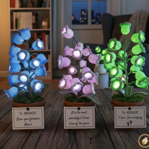 Puede incluir: Tres arreglos florales de crochet iluminados en azul, rosa y verde, cada uno en una maceta pequeña. Las flores tienen luces internas. Cada maceta tiene una tarjeta pequeña con texto. El texto en las tarjetas dice: "Love you forever Mom!", "It is the most wonderful time of the year" y "From: Lou amazing".