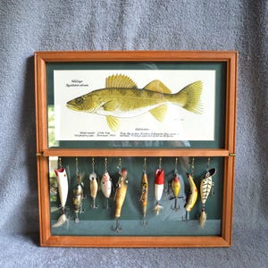 Antique Fishing The Display Vintage Fly Fishing Showcase, English