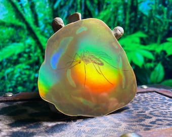 Mosquito in Amber sticker