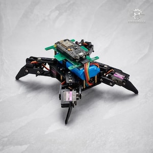Zwarte mechanische spinrobot, ESP8266 Arduino programmeerkit, educatief STEM-elektronicaproject