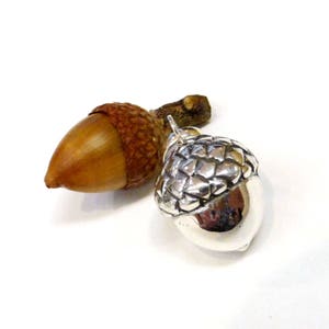 May include: A natural acorn next to a silver-colored acorn pendant. The natural acorn is brown with a textured cap and stem. The pendant has a detailed cap and a smooth, reflective base, suggesting a jewelry theme.