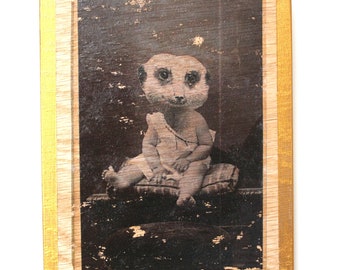 Cabinet Card Meercat Baby
