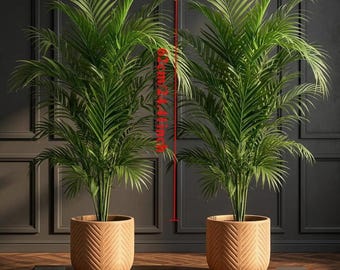 2pcs Set, Large Spring Simulation Green Coconut Tree And Artificial Flower ('S Breath) Combination - Wedding Garden Modern Decoration,