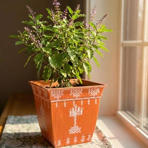 May include: A potted plant with green leaves and small purple flowers sits in an orange square planter. The planter is decorated with white, intricate patterns. The plant is on a wooden surface near a window.