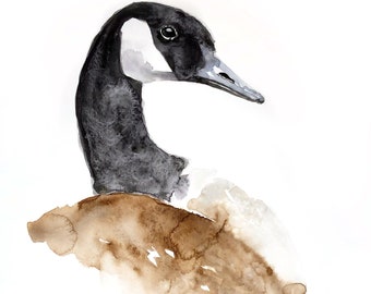 Canada Goose Painting, Canada goose watercolour, Goose watercolor, bird art, wildlife art, abstract wildlife, goose art