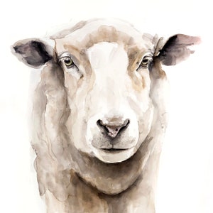 SHEEP Painting, SHEEP art, watercolor sheep, watercolour sheep, farm art, wildlife art, watercolour art, watercolour