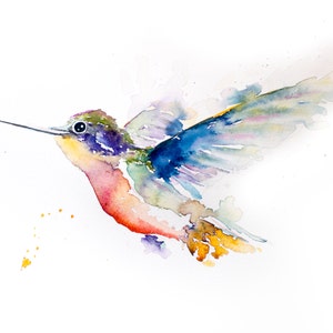 Humming Bird, 10x8 inches Original Water Color, Water Colour Print.  Wall Art, Bird Art, Art Print