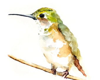 HUMMINGBIRD Watercolor Art Print, Print of my watercolour humming bird