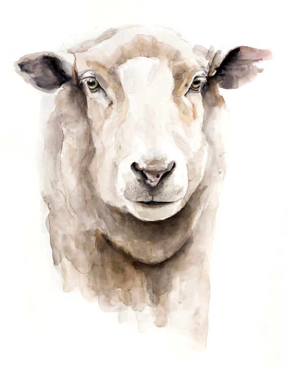 Gietvorm Interpretatie Kruiden SCHAPEN schilderij SCHAPEN kunst aquarel schapen aquarel - Etsy Nederland