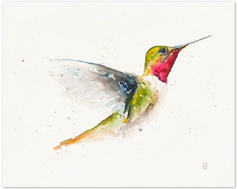 Watercolour Humming Bird, 10x8 Inches print of my original painting