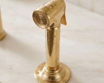 Kitchen Sink Sprayer Brushed Gold – Solid Brass Side Spray with Base – Luxury  Faucet Hardware
