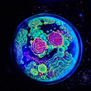 Tiny Planet Ocean Original Acrylic Painting