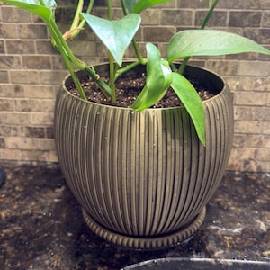 May include: A potted plant with vibrant green leaves. The plant is in a bronze-colored, ribbed ceramic pot with a matching saucer. The pot sits on a dark countertop against a brick-patterned wall.