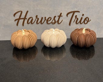 Harvest Trio Pumpkin Tea Light Set | Modern Fall Decor | Farmhouse Autumn Decor | Halloween Table Decor | Cozy Home