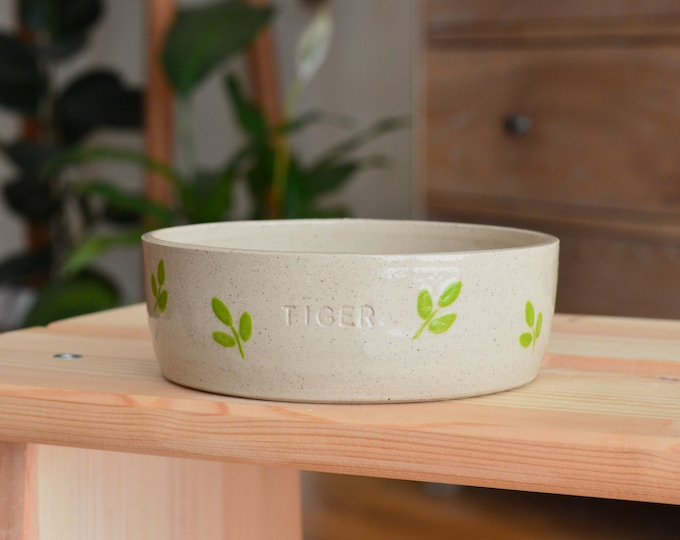 Custom Handmade Personalized Pottery Pet Bowl for Your Beloved Companion | Dog Bowl | Cat Bowl | Hand Painted Pet Bowl