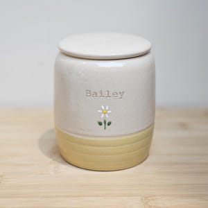 Puede incluir: Un tarro de cerámica color crema con tapa, con el nombre "Bailey" y una ilustración de margarita. La mitad inferior es de color amarillo claro, y el tarro está sobre una superficie de madera. Un recipiente decorativo para almacenamiento.