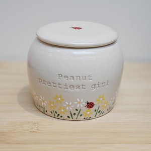 May include: A cream-colored ceramic jar with a lid, featuring the text "Peanut prettiest girl." The jar is decorated with painted yellow and white flowers and a red ladybug. The lid also has a small ladybug design.