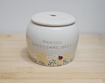 Custom Pet Urn: Handpainted Ceramic Daisy & Ladybug Memorial and Keepsake for Ashes
