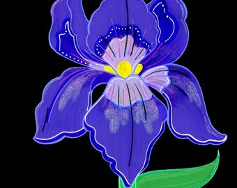 Digitale Kopie einer Iris-Zeichnung