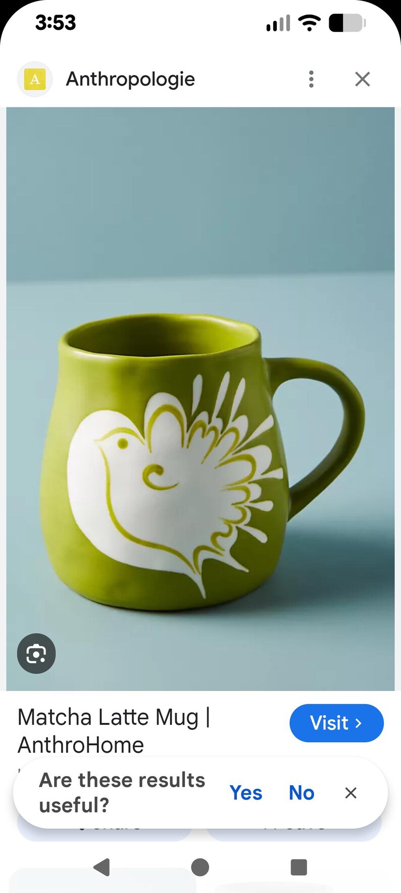 May include: A green ceramic mug with a white bird design. The mug has a rounded shape and a large handle. The mug is likely used for drinking beverages like coffee or tea.