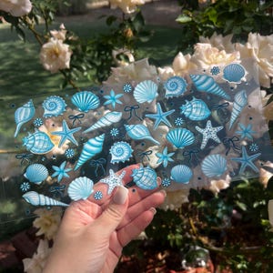 May include: A clear sheet of stickers featuring various light blue seashell and starfish designs. The stickers include different types of shells, starfish, and small floral accents. The stickers are held in front of a background of white and yellow flowers.