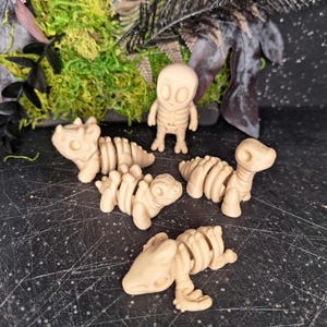 Puede incluir: Figuras de esqueletos de dinosaurios de color beige y una figura de esqueleto humano se exhiben sobre una superficie oscura. Los esqueletos de dinosaurios están en varias poses, y el esqueleto humano está de pie. El fondo presenta musgo verde y follaje oscuro.
