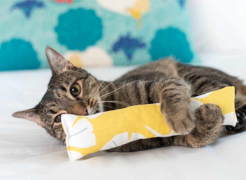 Yellow Gingko Catnip Toy. Cat stocking stuffer. Catnip cigar. Etsy