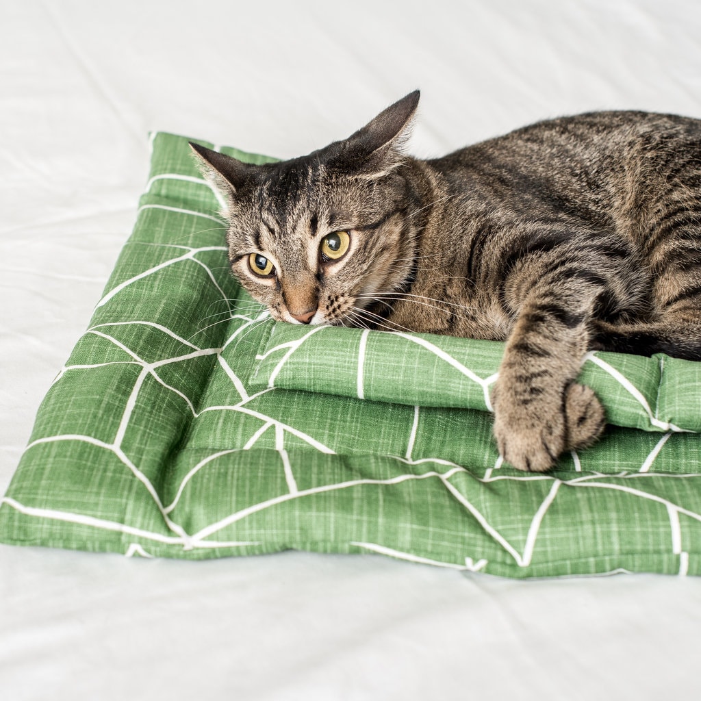 Gemstone Cat Mom Gift ...