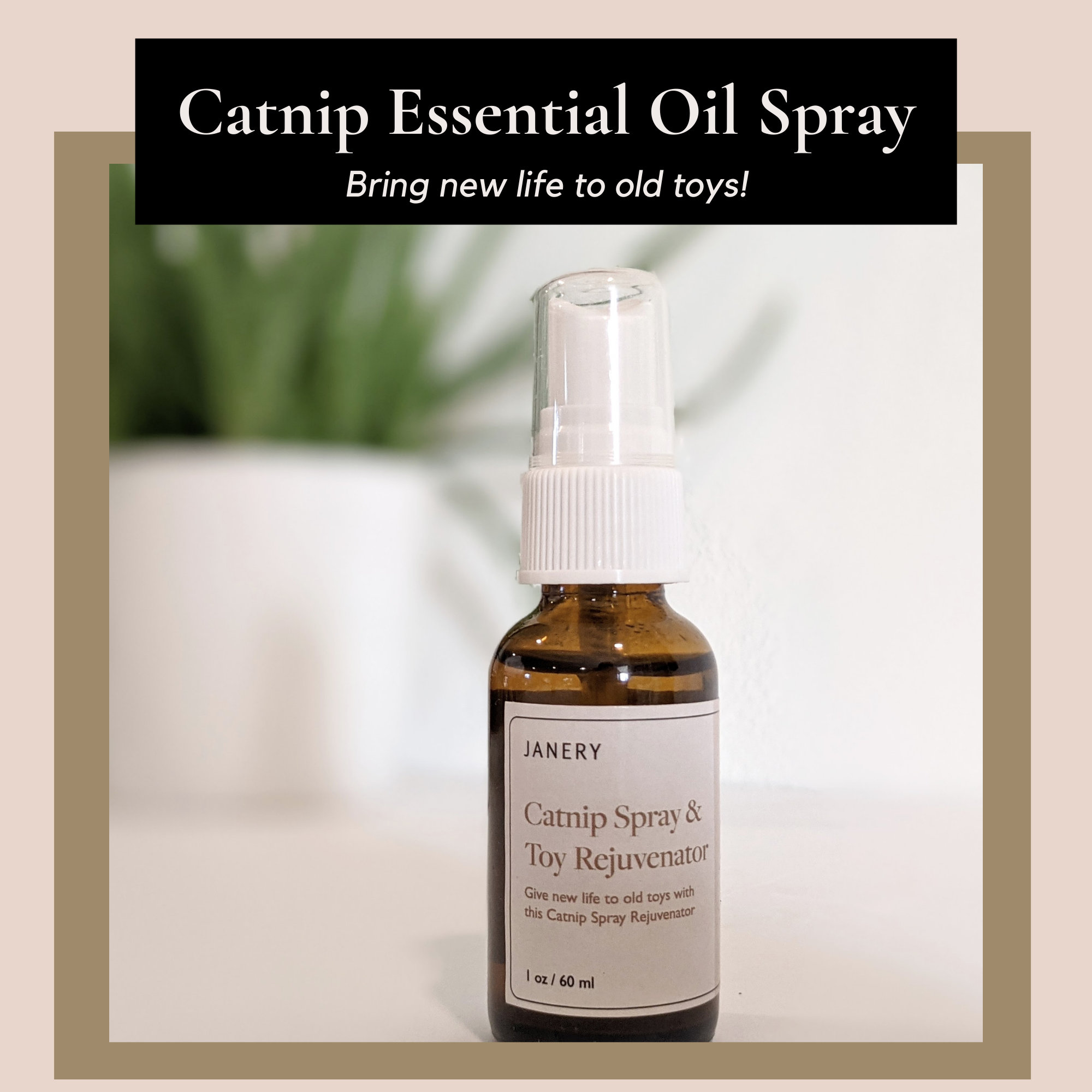 catnip spray diy