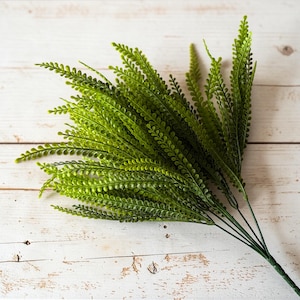 Large Green Seeded Fern | Bead Grass Spray | Button Fern Great for Bead Grass Wreath and Floral Arrangements | Sold in Bulk Pk of 12, 24, 48