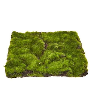 May include: A square of vibrant green artificial moss, perfect for decorative purposes. The moss has a dense, textured appearance, with varying shades of green. The edges are defined with a dark brown border, creating a natural look.