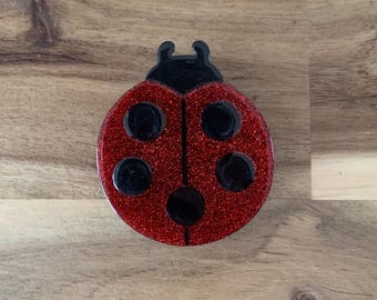 Erstwilder Our Lady's Bird Brooch ladybug pin NWOT all prices include US tariffs
