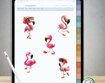 70 Funny Flamingo Stickers for GoodNotes – Pre-Cropped Digital PNG Pack