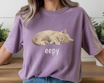 Vintages Eepy Katzen-Shirt, schläfriges Katzen meme-T-Shirt, sarkastisches Humor-T-Shirt, verrückter Katzenliebhaber Geschenk, lustiges Tiergraphik-Hemd 2026