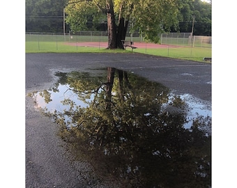 Stampa di riflessi di alberi / Fotografia naturalistica serena (download digitale)