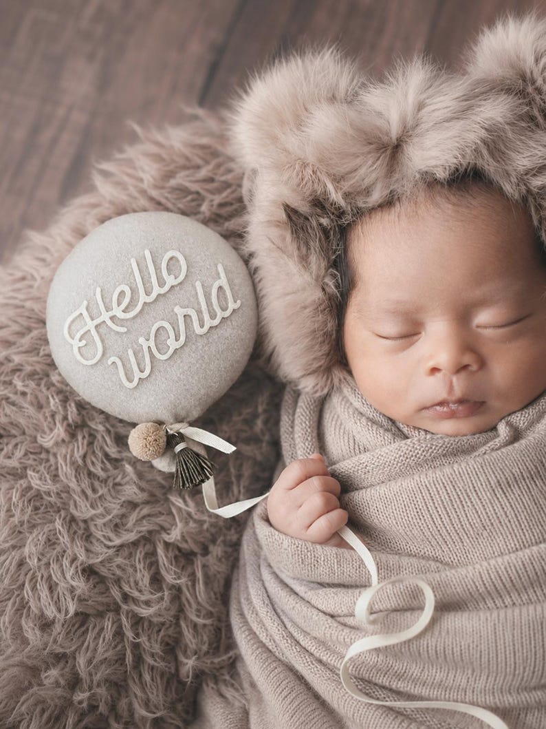 Plush 3D balloon baby milestone marker sign photo prop for baby girl and baby boy's monthly photos. Unique and gender neutral baby shower gift set for modern moms and parents. Includes interchangeable felt stickers: Hello World, Oh Baby, 1 to 12 months.