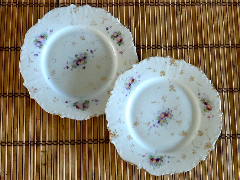 Lovely Vintage Hand Painted Dessert Plates set of two