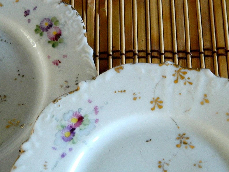 Lovely Vintage Hand Painted Dessert Plates set of two