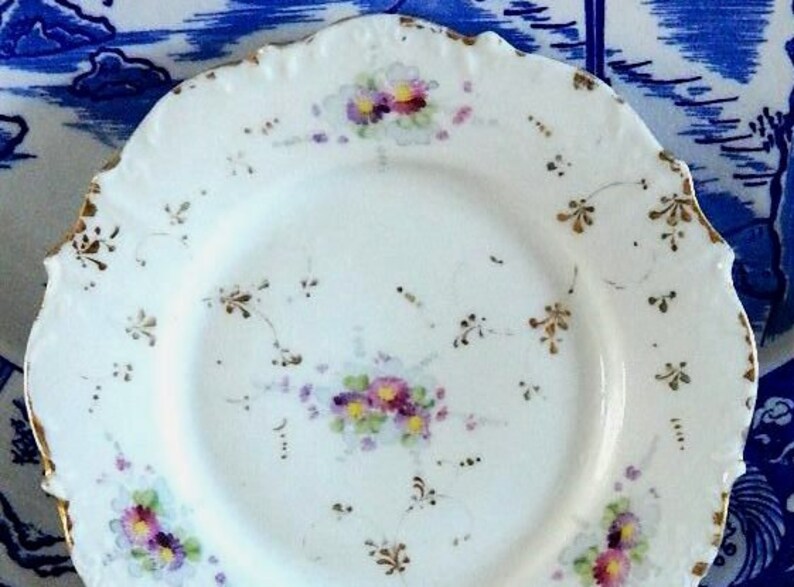 Lovely Vintage Hand Painted Dessert Plates set of two