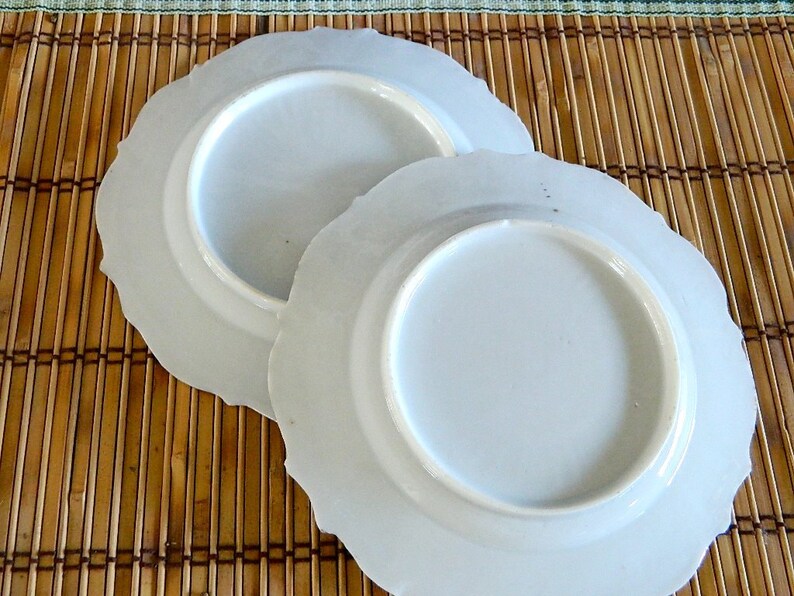 Lovely Vintage Hand Painted Dessert Plates set of two