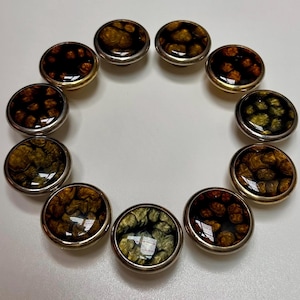 Set vintage schildpadkastknoppen, Zweedse ladetrekkers uit het midden van de eeuw